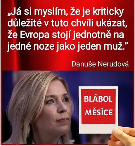 nejhloupější blondýna.png