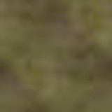 bg3