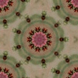 bg5d