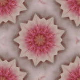 bg4c