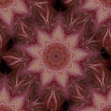 bg7c
