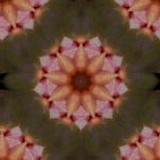 bg7a