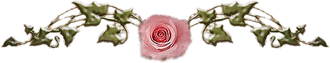 rosediv.png