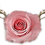 rosediv