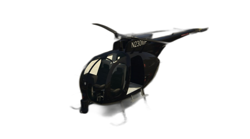 buzzard2.png