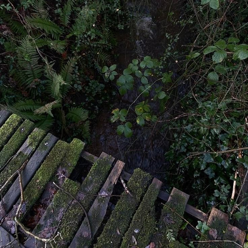 IMG 2367.jpg