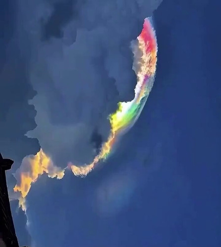 8ihBRy NI2RGfTaB.jpg