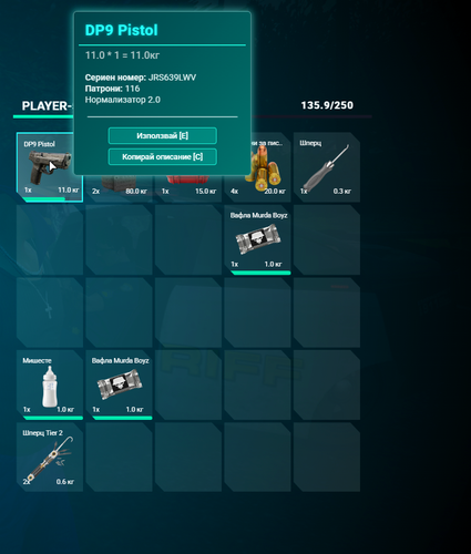 FiveM GTAProcess Xg4Hg9JY8z.png