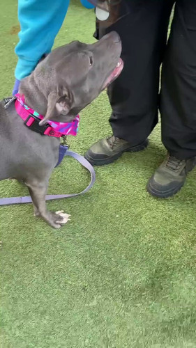 QGMQUVB6q hN4qOt.jpg