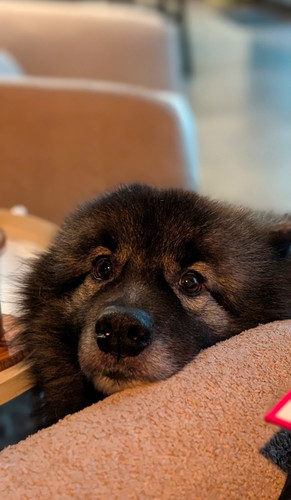 Screenshot 20260123 110417.jpg