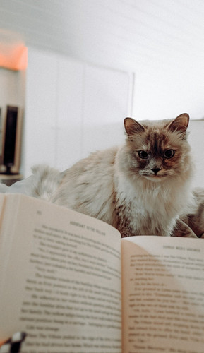 Screenshot 20260123 110328.jpg