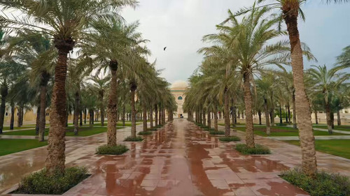 lp 4qy8WpgyI4B5q.jpg