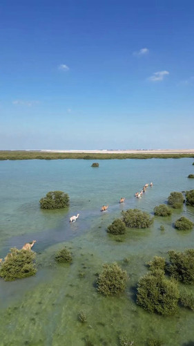 qd9G2g0zIF69PY6 .jpg