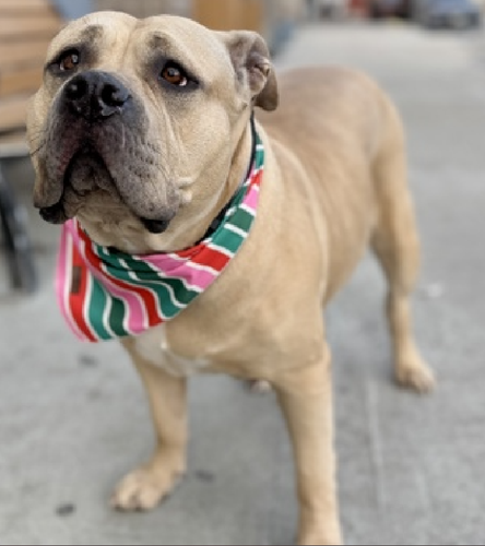 G W9 zvboAAtFEn?format=png.png