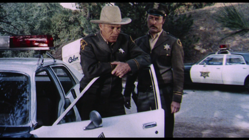 vlcsnap 2026 01 23 19h29m01s605.png