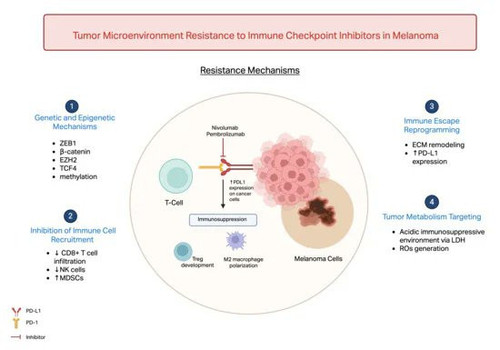 G U0Z93XAAAgd e?format=jpg.jpg