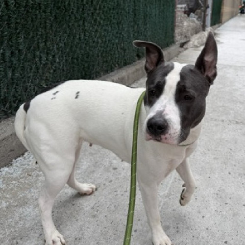 G wAQp3bAAAj5lj?format=jpg.jpg