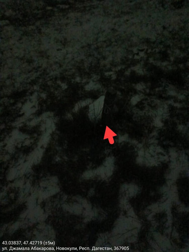 IMG 20260122 210114 1.jpg