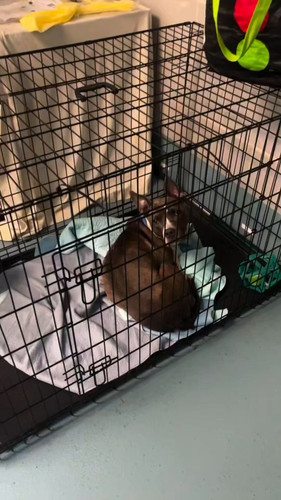 KusVdmD v1 g4FPt.jpg