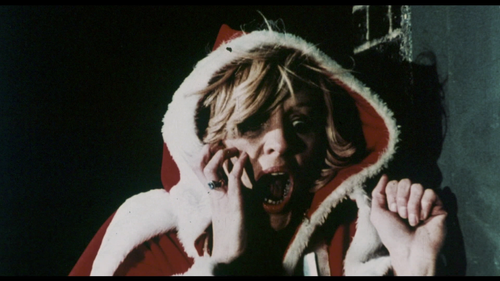 vlcsnap 2026 01 23 19h20m47s449.png