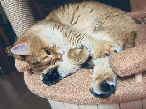 G QtkU9XQAEWHN3?format=jpg.jpg