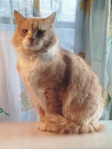 G QFf1CXsAAkdg9?format=jpg.jpg