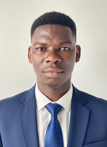 ZINGA LEDRICH FRESNEL EXCELLENT.png