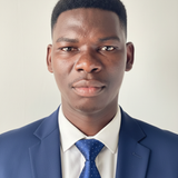 ZINGA LEDRICH FRESNEL EXCELLENT