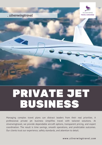 Private Jet Business.png