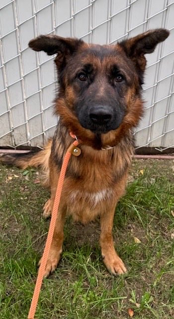 G es39DWcAAD pr?format=jpg.jpg