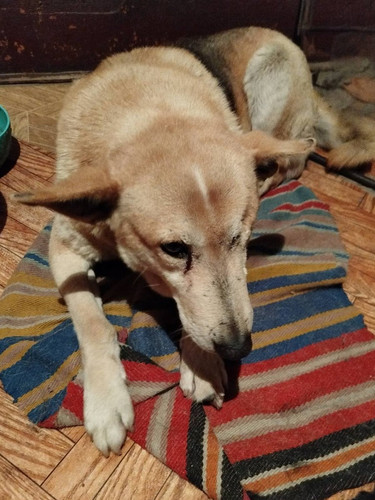 G Lw1GGX0AAzA64?format=jpg.jpg