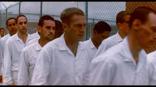 vlcsnap 2026 01 23 19h37m00s137.png