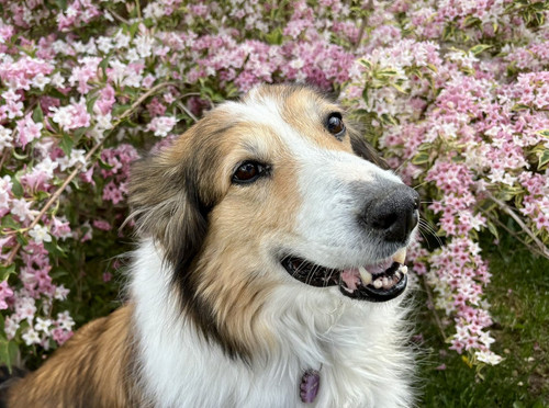 G TjkXwbUAAUuLY?format=jpg.jpg