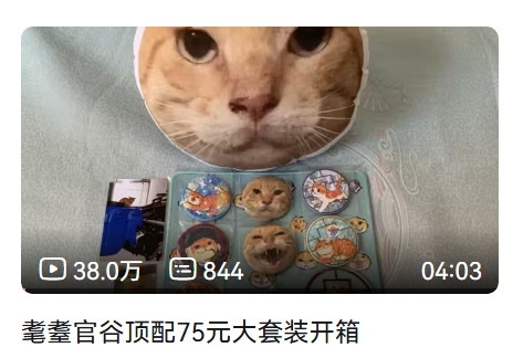 屏幕截图 24 1 2026 35740 space.bilibili.com.jpg