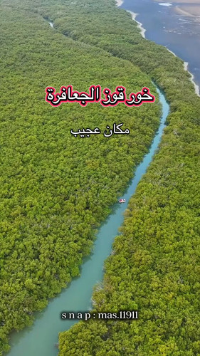 qgtutSq ma Bbsjw.jpg