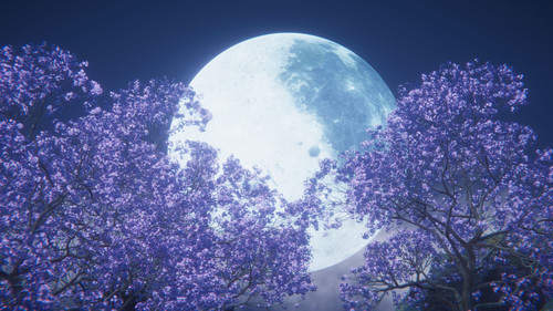 Luny5.jpg