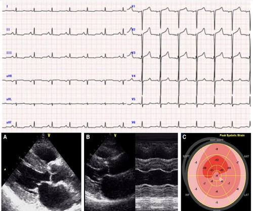 G Bk9WhXgAIXJEs?format=jpg.jpg