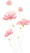 pngwing.com.png