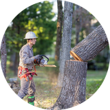 cropped circle image (11).png