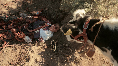 Preacher.S01E01.Pilot.2160p.WEB DL.CZ EN.DD+5.1.SDR.x265 PETRiFiED.mkv 20260123 132514.844