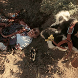 Preacher.S01E01.Pilot.2160p.WEB DL.CZ EN.DD+5.1.SDR.x265 PETRiFiED.mkv 20260123 132514.844