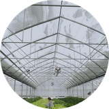 cropped circle image (3).png