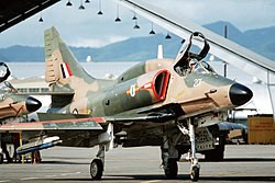 250px1.jpg