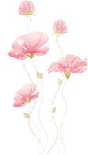 pngwing.com.png