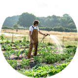 cropped circle image (8).png