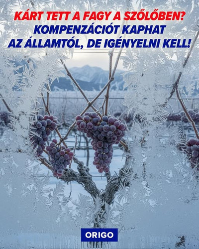 621573359 1219235180398309 7992451365713212654 n.jpg?stp=dst jpg s640x640 tt6& nc cat=102&ccb=1 7& n.jpg