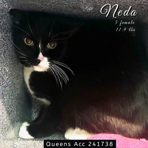 G UT2bJaEAAIQz9?format=jpg.jpg