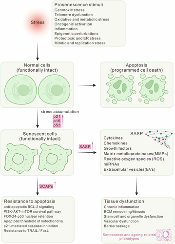 G N3usoXsAEEMHa?format=png.png