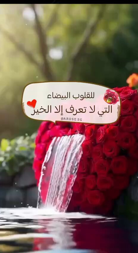 6pG8hWomnFI WSHR.jpg