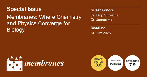 G VFjD W8AA Eux?format=jpg.jpg